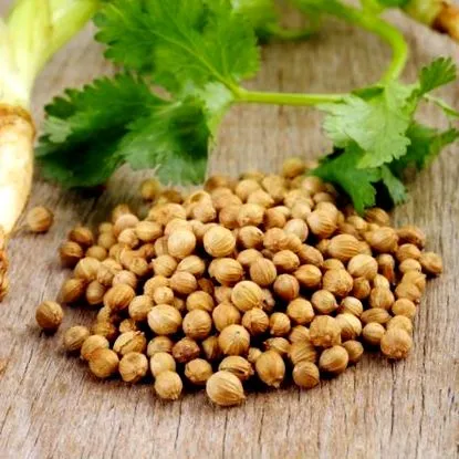 alakhoz