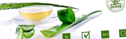 aloe vera