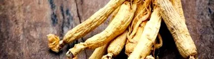ginseng