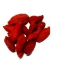revistei goji