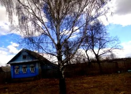 inelul