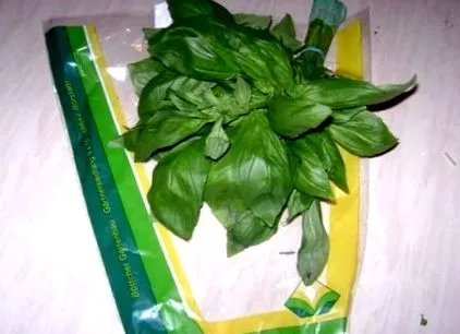 furaje furaje