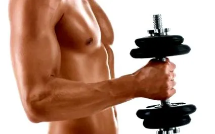 fitnessmagnet