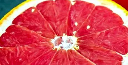 citrus