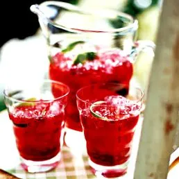 hibiscus este