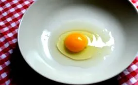csirkék