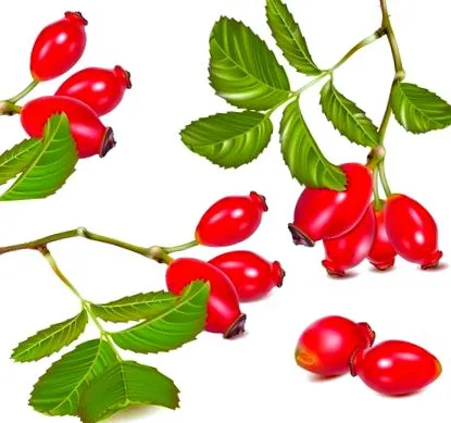 osteoarthritis