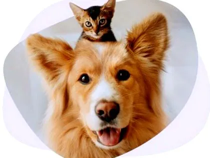 care