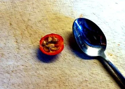 toamnă