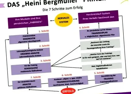 heinrich centrul