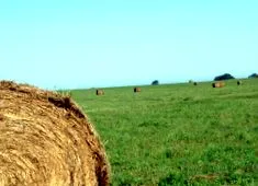 tekerés