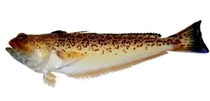 konyhában