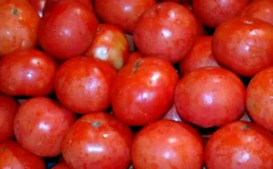 paprika