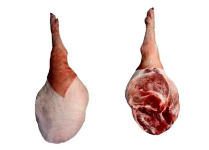 körvonalazva