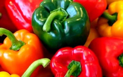 paprika