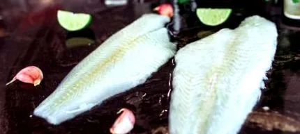 halibut