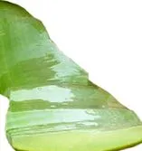 weblap