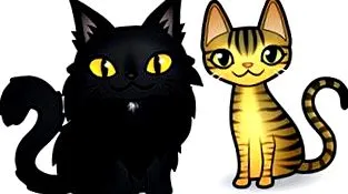 cats cats