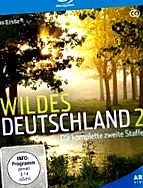 smart