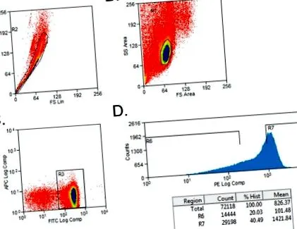 cd45rbhigh sejtek