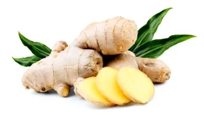 officinale