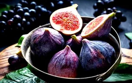 fallacy