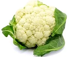 calorii