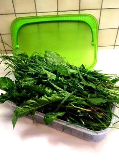 megöl megöl