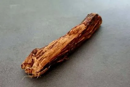 plămâni plămâni