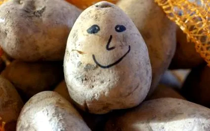 burgonya csak