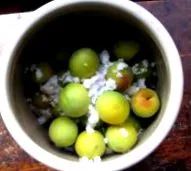 umeboshival