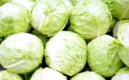 varză