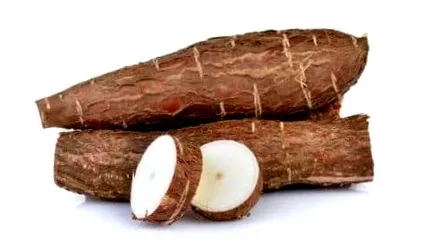 root