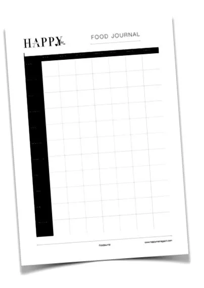 revista
