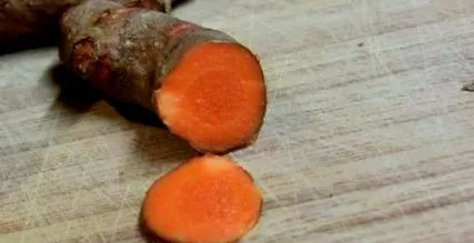 curcuma