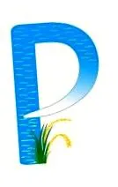 masajul