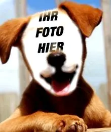 vašou