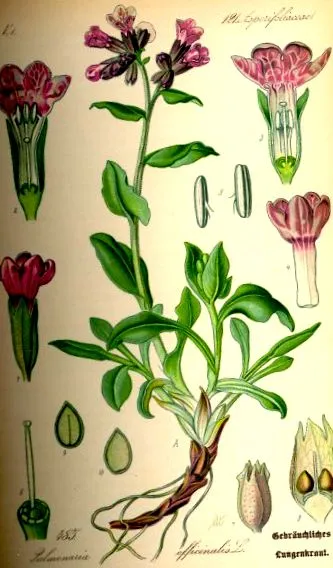értékes