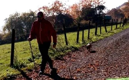 kg-os maratonfutóig