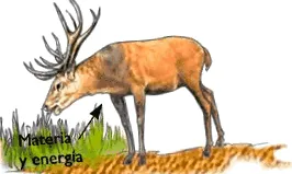 areaciencias