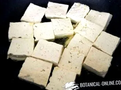 tofu