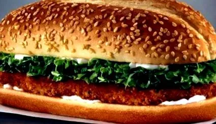 mcpollo