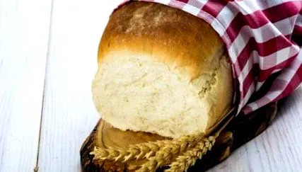 мога