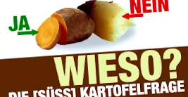 kilokegeln nicodavinci