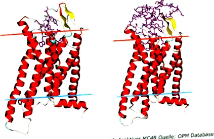 reglarea