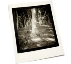 фотографії