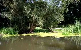 áttekintés