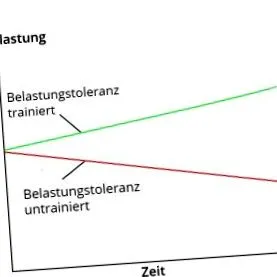 személyi
