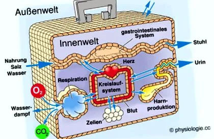 starea fiziologie