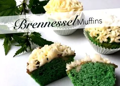 powerfood mrsemilyshore